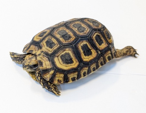 PXL_20250502_103206591~2