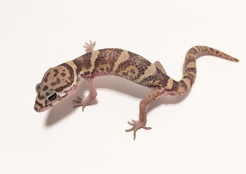 PXL_20250920_105423208~2