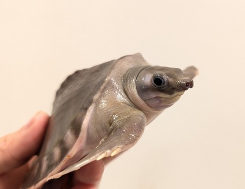 PXL_20250923_105655598~2