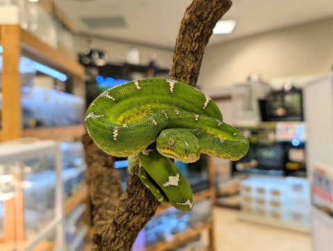 PXL_20241224_110323642~2