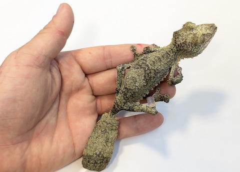 PXL_20250623_110437405~2