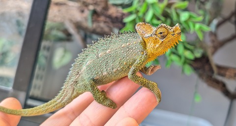 PXL_20260129_035653129