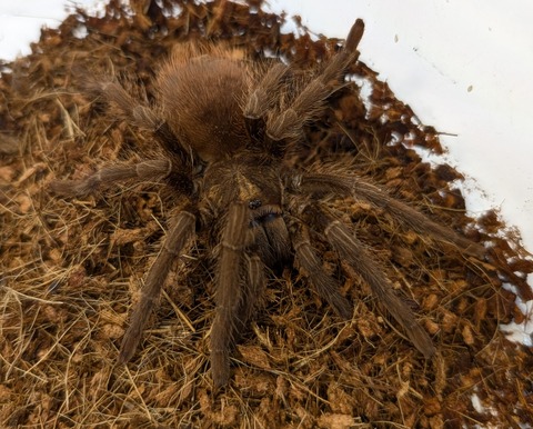 PXL_20250622_112135383~2