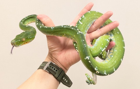 PXL_20250920_110653786~2