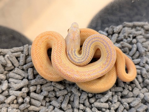 PXL_20241227_123120107~2