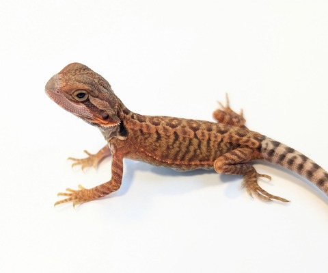 PXL_20250716_082342996~2