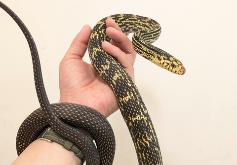 PXL_20251028_064308693~2