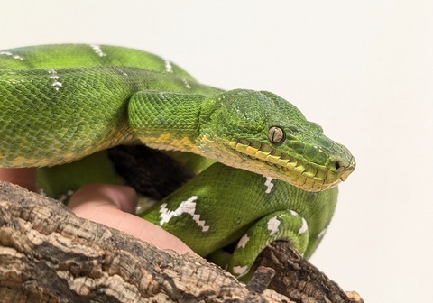 PXL_20250905_064124184~2