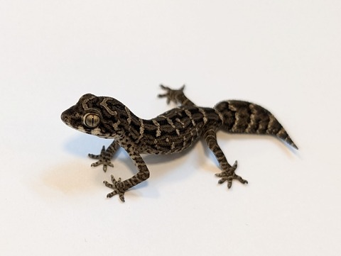 PXL_20250318_090437601~2