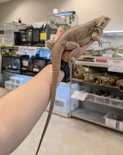 PXL_20241228_114014838~2