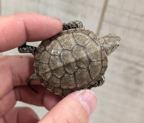 PXL_20260102_093507281~2