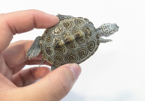 PXL_20250919_113834895~2