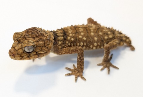 PXL_20250623_100918874~2