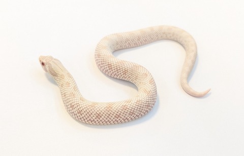 PXL_20251204_082223591~2