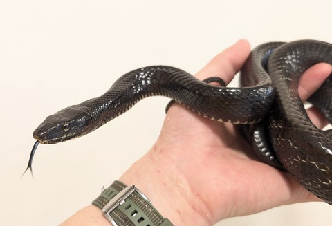 PXL_20260126_053452064~2