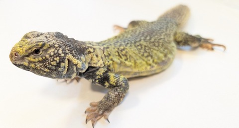 PXL_20251219_024229730~2