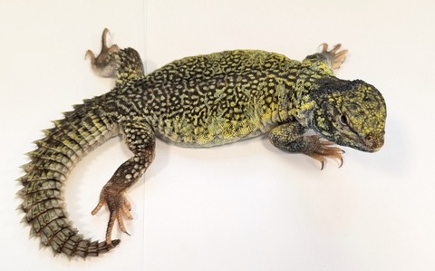 PXL_20251004_090023380~2