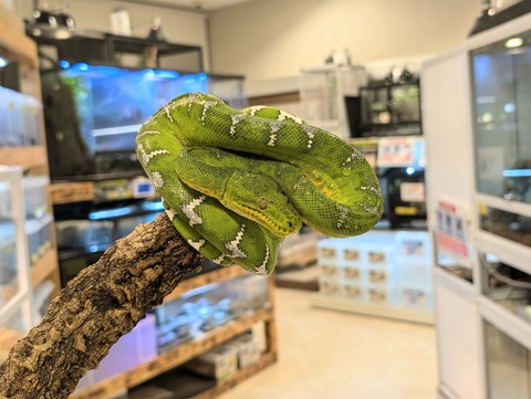 PXL_20241224_105841325~2