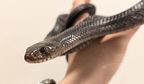 PXL_20250923_105345493~2