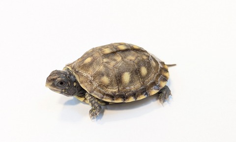 PXL_20251103_100909765~2