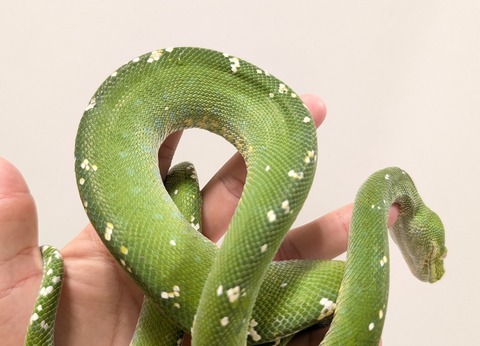 PXL_20250920_111039371~2