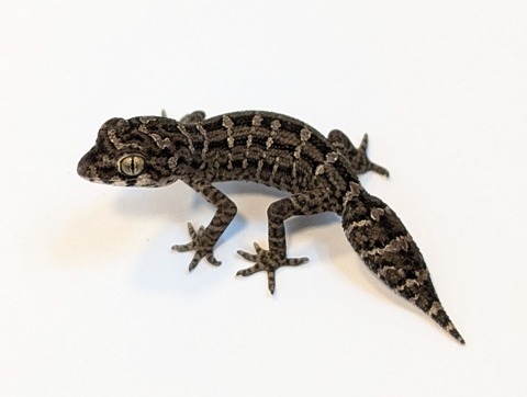 PXL_20250318_090548248~2