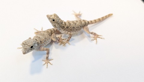 PXL_20251124_111742252~2