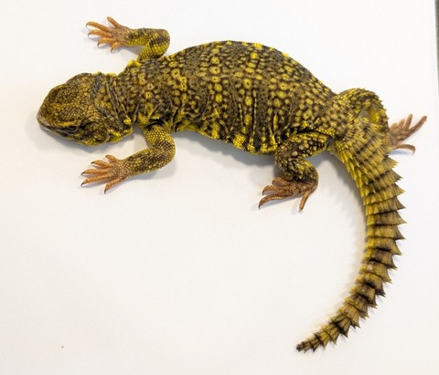 PXL_20250401_101943751~2