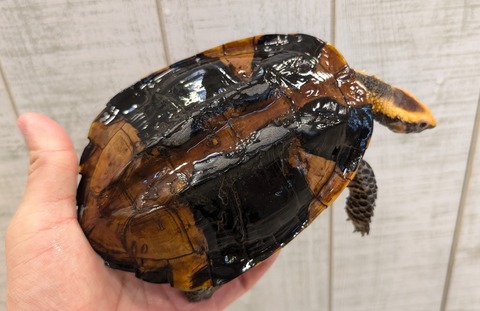 PXL_20250502_110248964~2