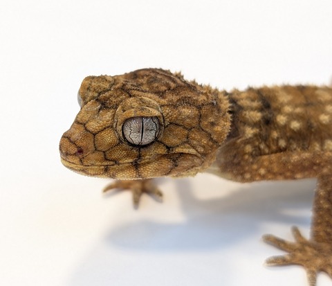 PXL_20250623_100913831~2