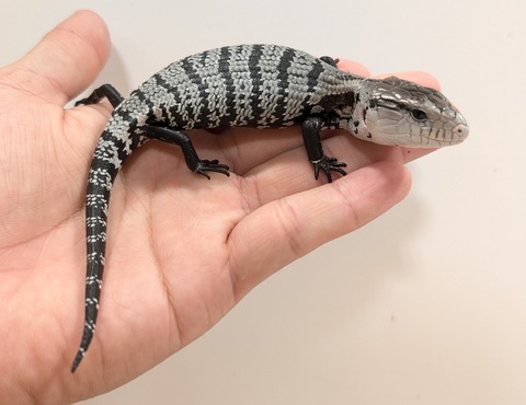 PXL_20250620_130856664~2