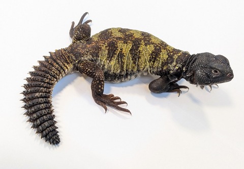 PXL_20251004_085507586~2