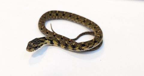 PXL_20250725_095831956~2