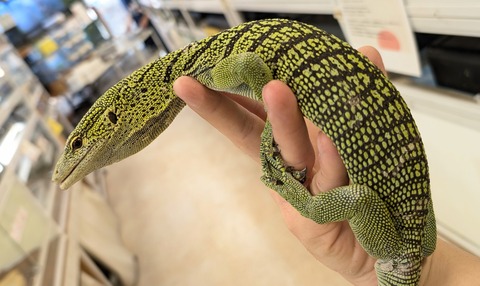 PXL_20260102_020316599~2