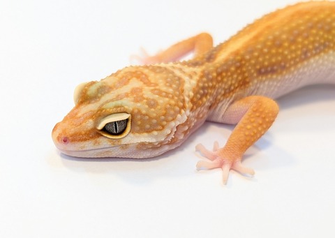 PXL_20250504_105821239~2