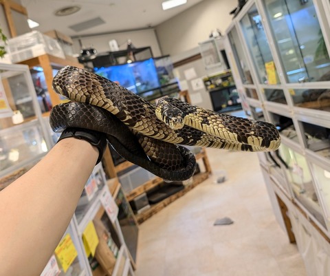 PXL_20241228_114422767~2