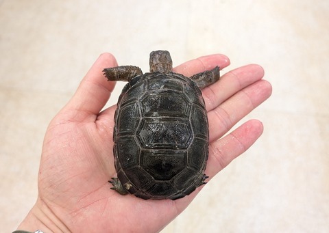 PXL_20260129_080325297~2