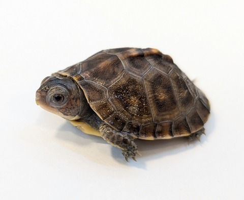 PXL_20251103_100007310~2