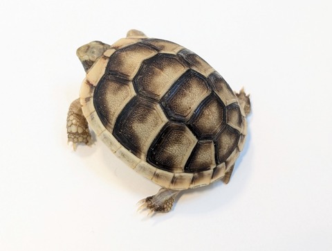 PXL_20250318_091626441~2