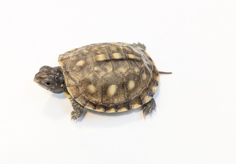 PXL_20251103_100905528~2