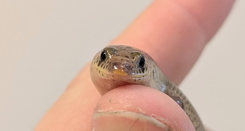 PXL_20241228_093806577~2