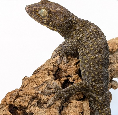 PXL_20251104_110414764