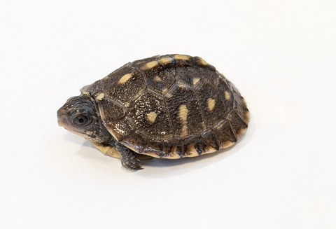 PXL_20251103_101442769~2