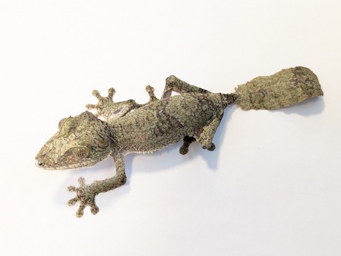 PXL_20250623_110402334~2