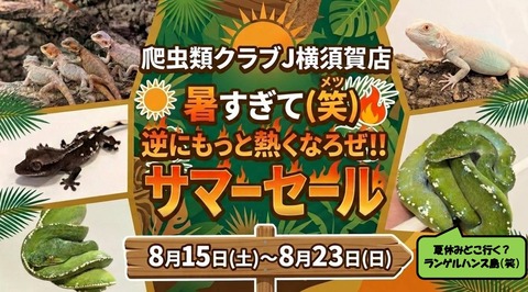 サマーセールPOP_page-0001 (1)~2