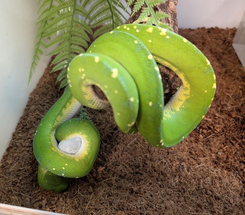 PXL_20250522_105022519~2