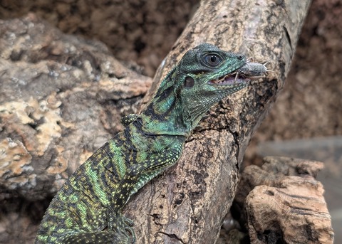 PXL_20251022_091457443~2