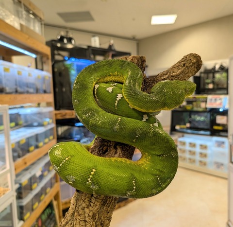 PXL_20241224_110739030~2