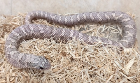 PXL_20251122_061538533~2