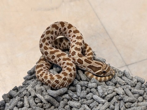 PXL_20241228_112402472~2